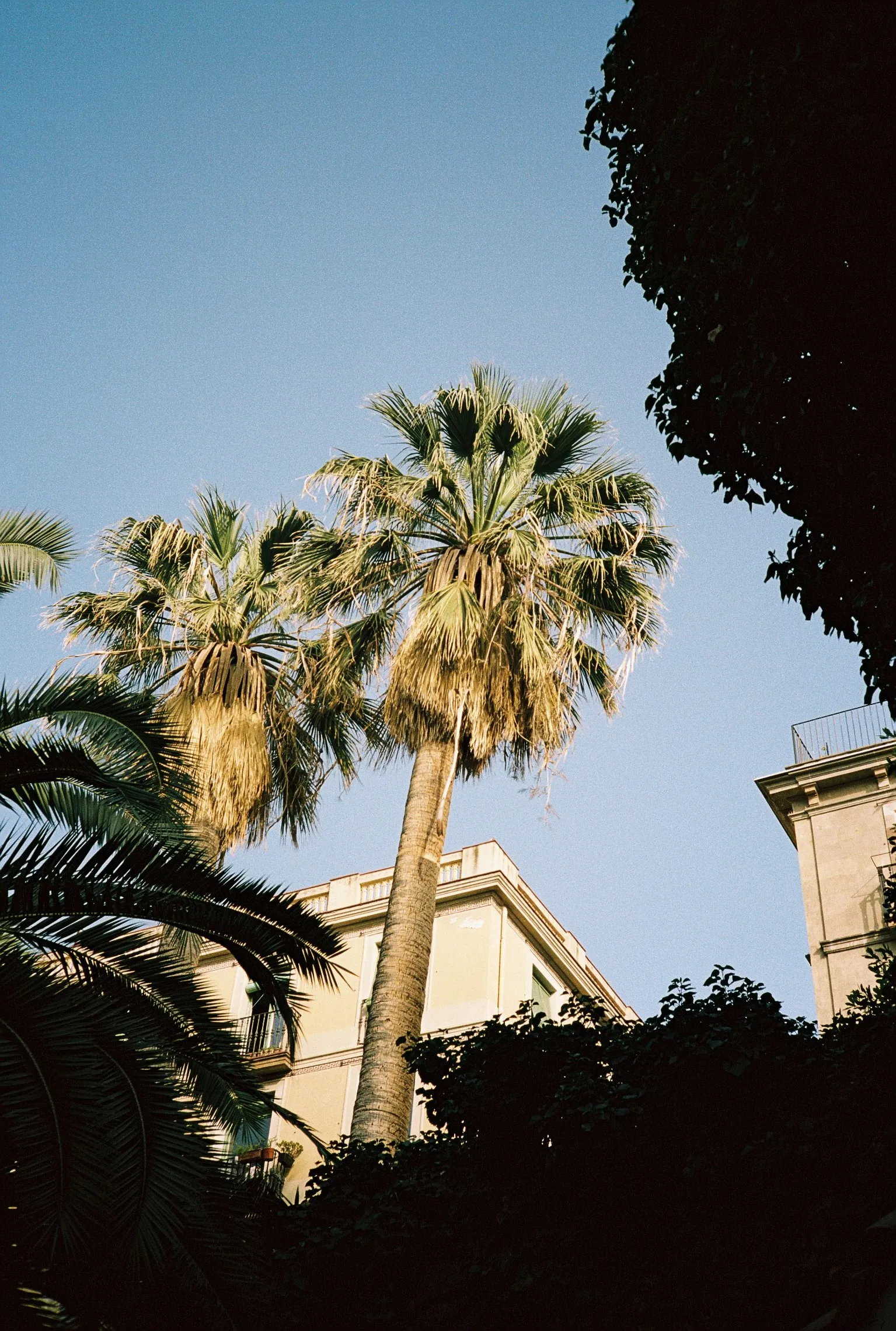 Barcelona — 3