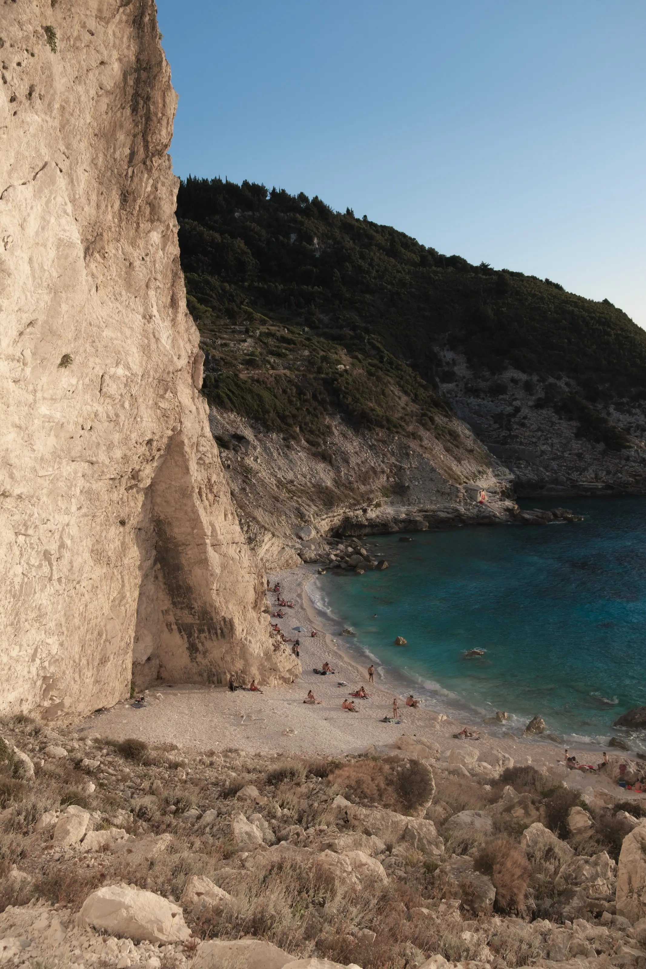 Paxos
