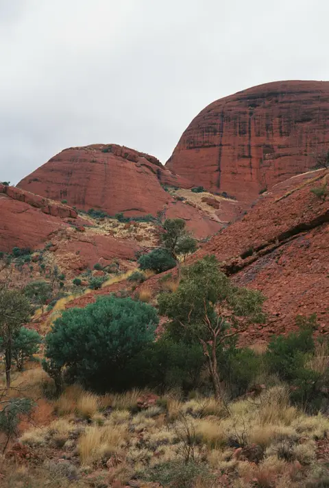 uluru