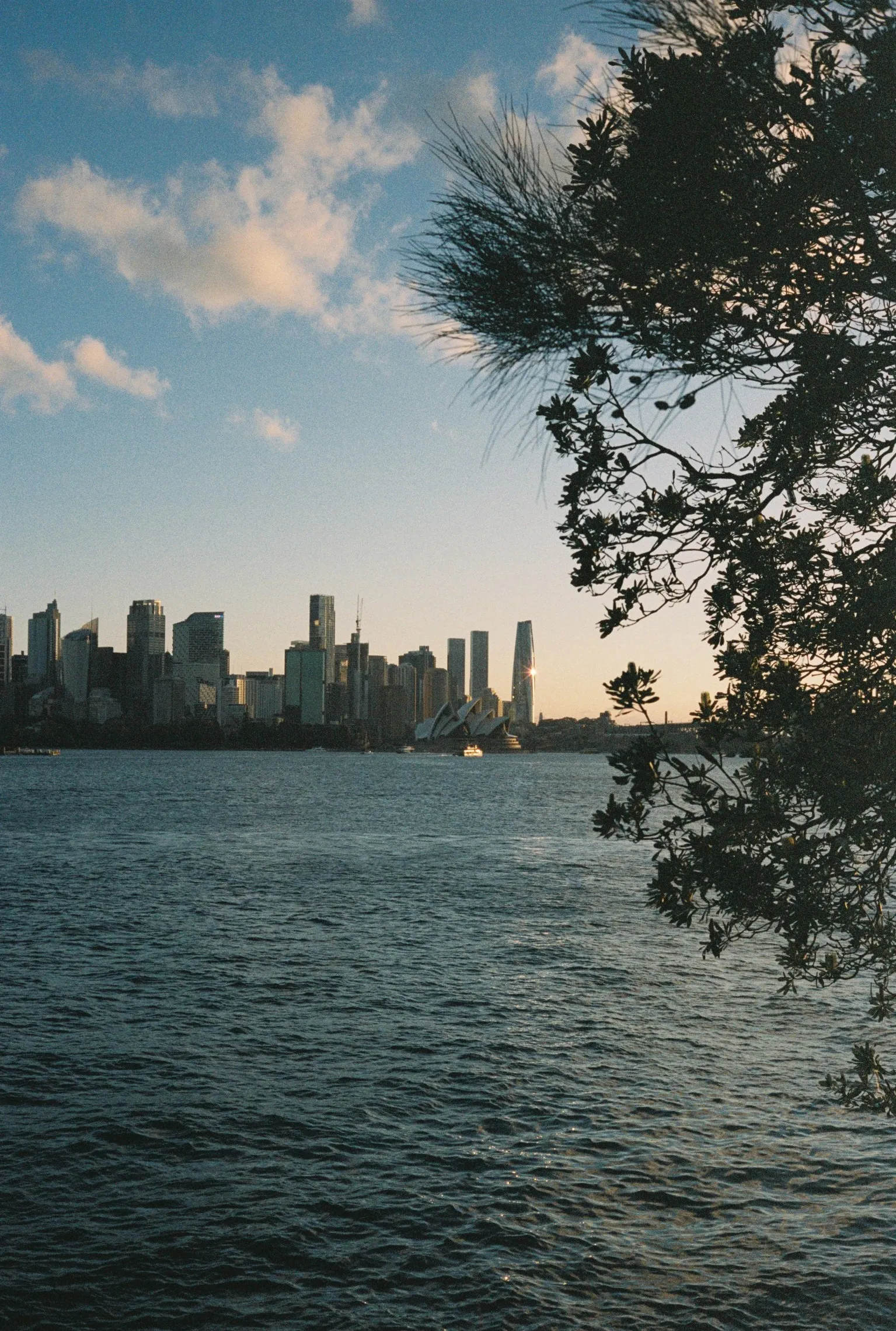 Sydney — 15